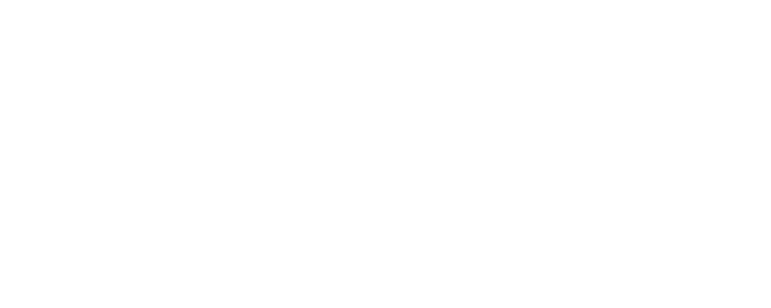 City of Cactus 